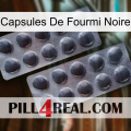 Black Ant Capsules 31